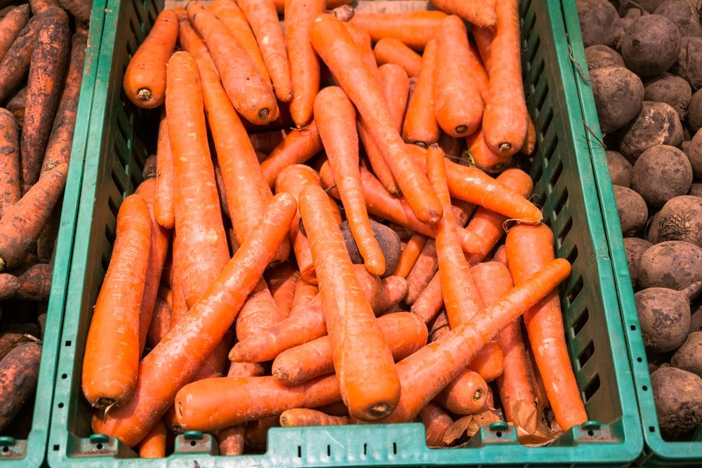 Как хранить морковь в квартире. Хранение моркови.