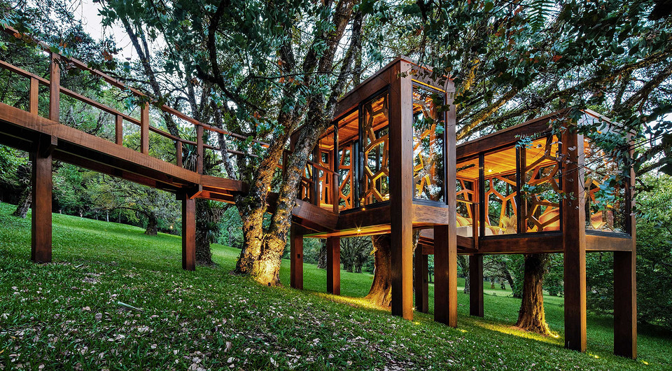 Как домик на дереве: в Бразилии создали интересную пристройку на «ножках»