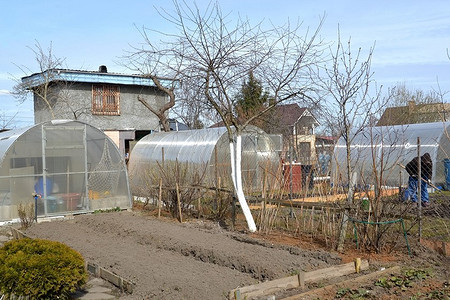 Как правильно подготовить теплицу к новому сезону: 5 правил для садовода