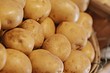 Лучшие сорта картофеля для средней полосы: 18 названий с фото