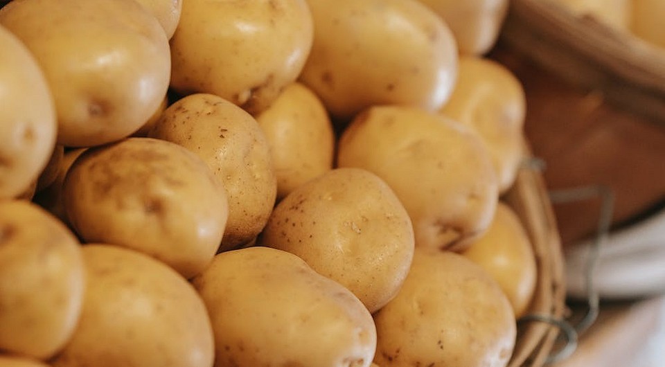Особенности приготовления и использования позднего картофеля