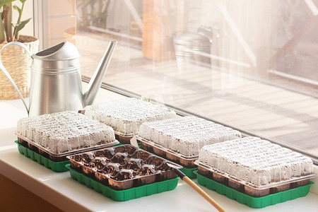 Парник на подоконник: 8 видов, которые можно сделать своими руками