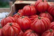 Сорта помидоров для открытого грунта: 15 лучших, которые дадут отличный урожай