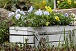 Клумбы из дерева: 7 красивых идей, которые вы можете воплотить самостоятельно