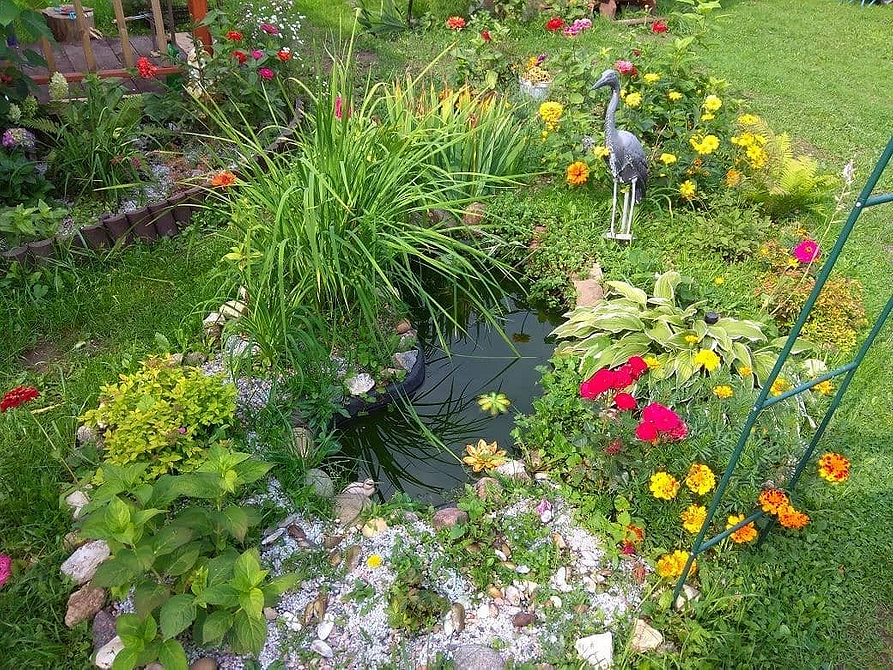 Оформляем садовый пруд: главные особенности, варианты дизайна и 80 фотоидей 