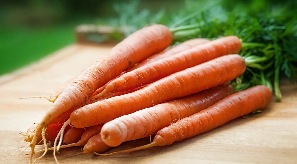 Как правильно сеять морковь