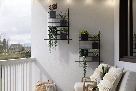 5 самых выносливых растений для открытого балкона