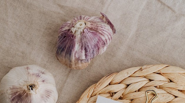 Чем подкормить чеснок после зимы: 12 лучших весенних удобрений