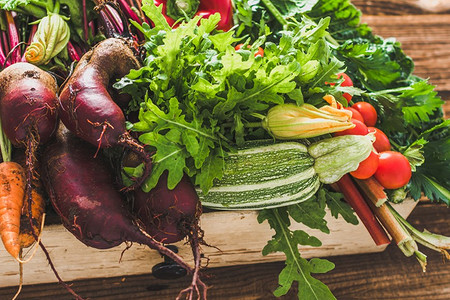 7 ошибок в хранении урожая в сарае на даче