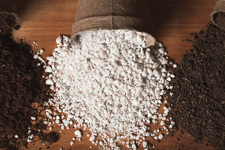 Перлит для растений: как применять, чтобы они хорошо росли? 5 способов и правила