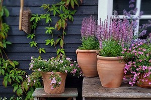 8 красивых и милых идей для обустройства мини-сада на даче