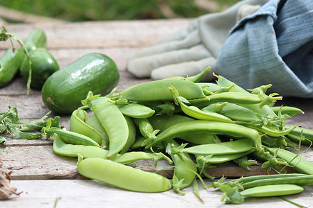 7 самых неприхотливых культур для вашего огорода