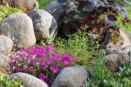 Клумба из камней: 5 эффектных идей для вашего сада, 74 красивых фото