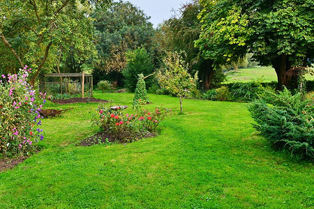 7 провальных способов заполнить пустой сад (пожалеете об этом!)