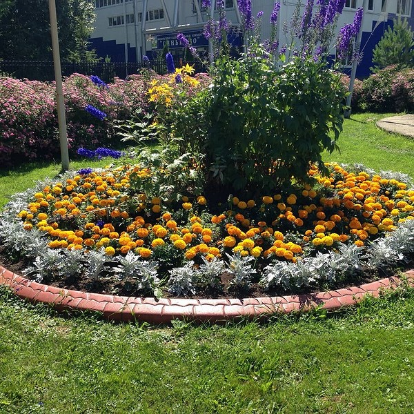 Бордюры для клумб: 12 практичных и красивых идей, 60 фото, которые вдохновят