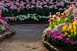 Оформление клумбы своими руками: красивые идеи, дельные советы и 109 фото
