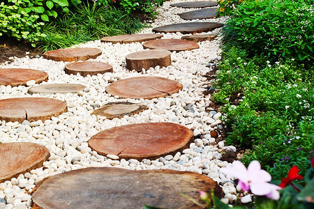 Бордюрные цветы: 12 лучших растений для оформления дорожек и клумб на вашем участке