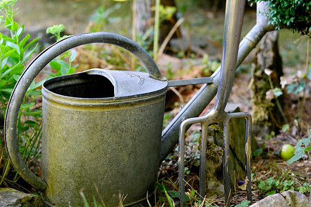 Полив растений: 7 эффективных методов для различных культур