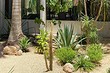 Песчаный сад аренарий: как создать красивый и неприхотливый ландшафт на своем участке, 60 фото