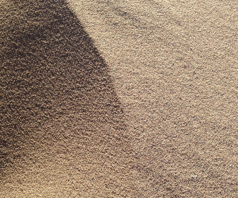 Песчаный сад аренарий: как создать красивый и неприхотливый ландшафт на своем участке, 60 фото