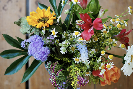 7 садовых цветов, из которых можно собрать букет в школу