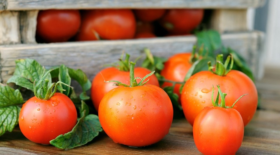Как хранить помидоры: 13 способов, которые помогут сохранить урожай изапасы
