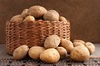 Хранение картошки: 10 разных способов для квартиры и дома (ничего не испортится!)