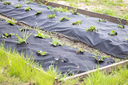 Спанбонд: что это за материал и где его можно использовать, виды и тонкости выбора