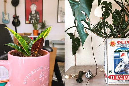 Чем заменить цветочный горшок: 12 потрясающих идей