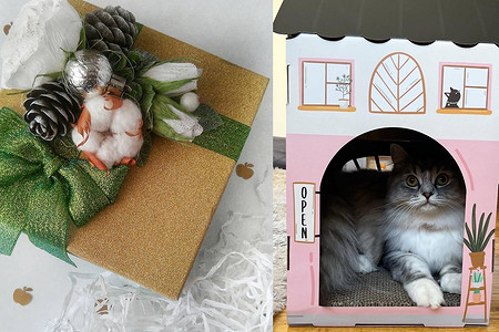 Что сделать из картонных коробок: 5 идей, инструкции и фотопримеры