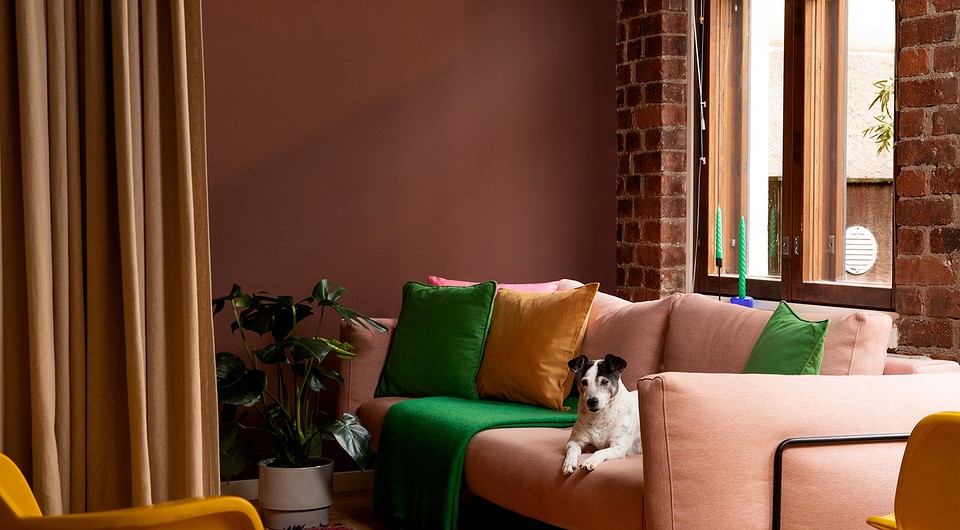 Цветовые тренды 2024 в интерьере: 5 актуальных тенденций Цветовые тренды 2024 в интерьере: 5 актуальных тенденций