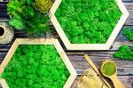 Как сделать стабилизированный мох: простые инструкции и советы по уходу