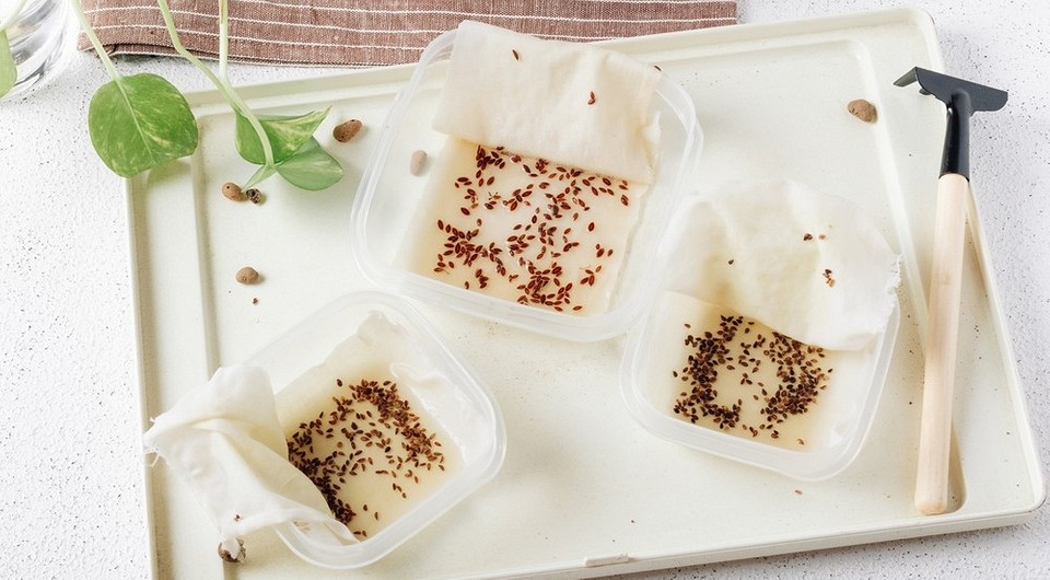 В чем и как замачивать семена перед посевом: 9 проверенных средств для лучшего урожая В чем и как замачивать семена перед посевом: 9 проверенных средств для лучшего урожая