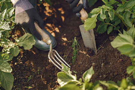 Как подготовить грядки к посадкам: 7 советов для хорошей урожайности