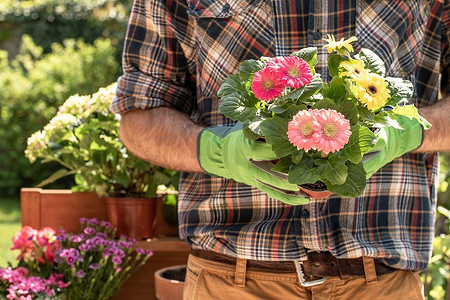 Благоприятные дни для посадки цветов в 2024 году: полезный календарь садовода в таблицах