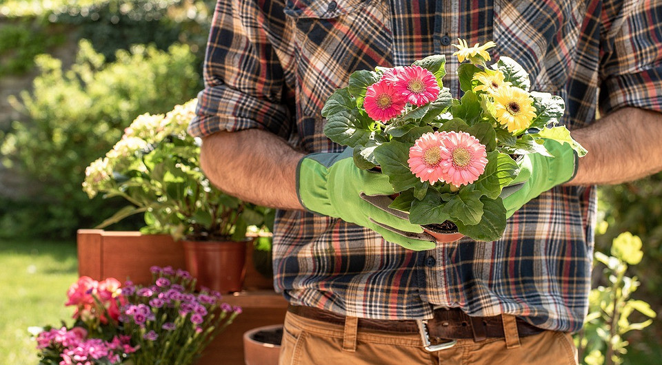 Благоприятные дни для посадки цветов в 2024 году: полезный календарь садовода в таблицах