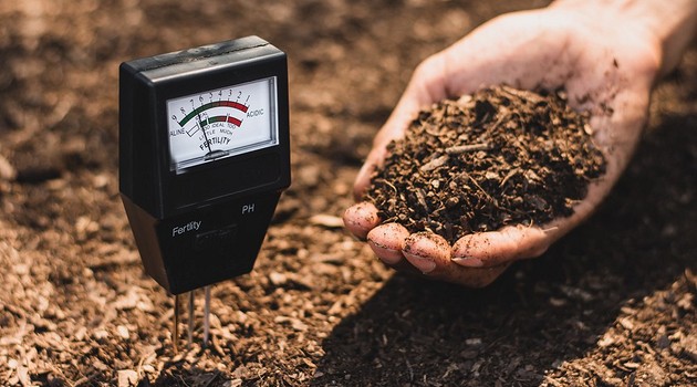 Как определить кислотность почвы в домашних условиях: 9 проверенных способов