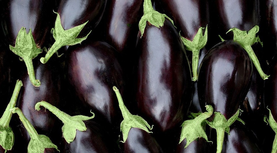 Когда сажать баклажаны в 2024 году: календарь благоприятных и запрещенных дней, советы по выращиванию