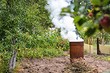 За что могут оштрафовать дачника в 2024 году: 11 нарушений, о которых вы могли не знать