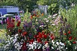 Как красиво посадить цветы на участке: идеи оформления и правила выбора растений (80 фото)