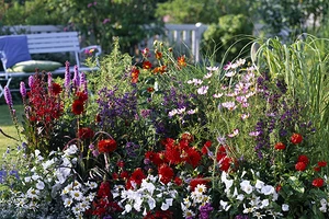 Как красиво посадить цветы на участке: идеи оформления и правила выбора растений (80 фото)