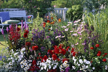 Как красиво посадить цветы на участке: идеи оформления и правила выбора растений (80 фото)