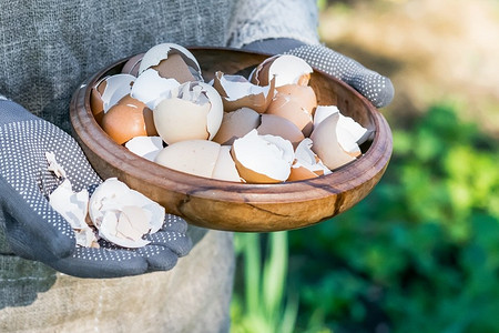 Яичная скорлупа для огорода: 4 причины ее использовать, как сделать удобрение из нее и хранить