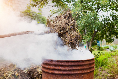 Можно ли жечь мусор на участке: законодательство и штрафы 2024