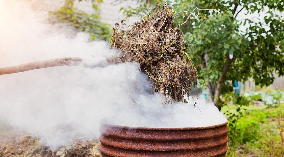 Можно ли жечь мусор на участке: законодательство и штрафы 2024