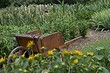 Лунный календарь на июль 2024 года: что можно и нельзя делать, план по работам на месяц