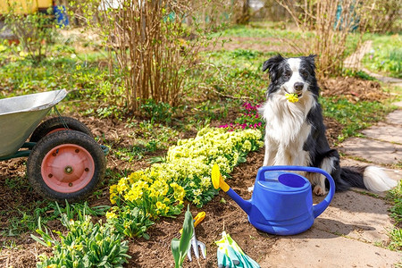 Когда лучше поливать огород и как это делать правильно: полезные советы