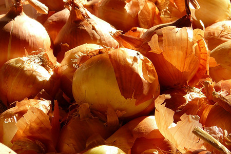 Луковая шелуха для огорода: как применять, может ли навредить, рецепты