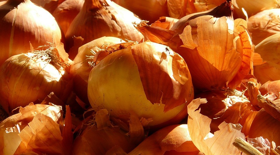 Луковая шелуха для огорода: как применять, может ли навредить, рецепты