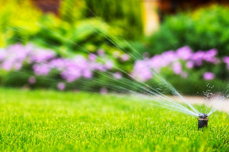 Какой дождеватель выбрать: лучшие варианты, топ-6 моделей, полный обзор критериев выбора